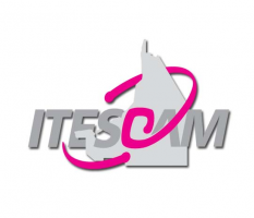 Administrador de Cursos del ITESCAM